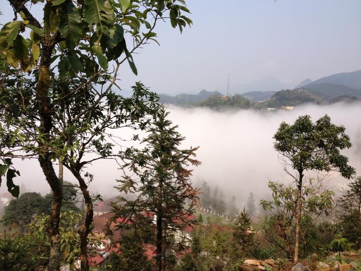 Spring colors of Sapa - ảnh 2